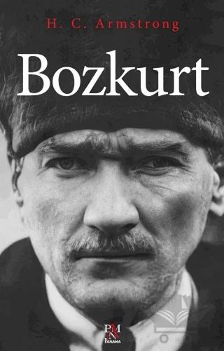 Bozkurt