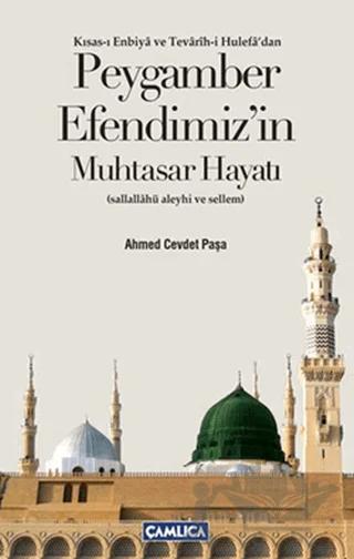 Peygamber Efendimizin Muhtasar Hayatı