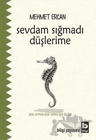 Sevdam Sığmadı Düşlerime