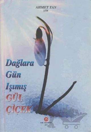 Dağlara Gün Işımış Gül Çiçek