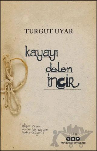 Kayayı Delen İncir