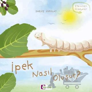 İpek Nasıl Oluşur?