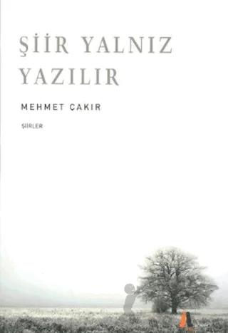 Şiir Yalnız Yazılır