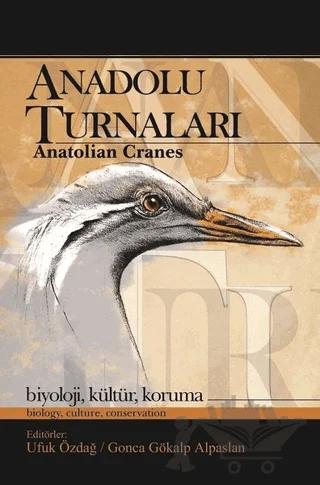 Anadolu Turnaları