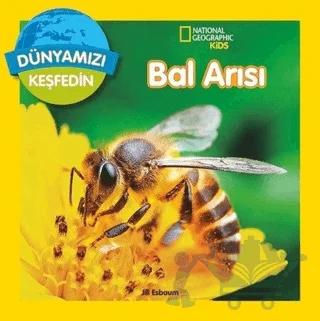 Dünyamızı Keşfedin - Bal Arısı