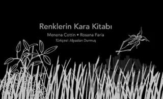 Renklerin Kara Kitabı