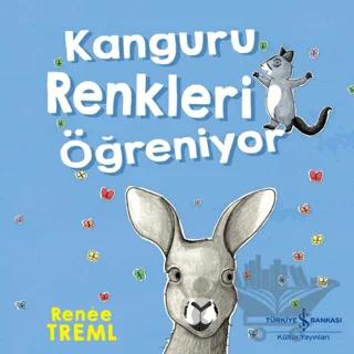 Kanguru Renkleri Öğreniyor