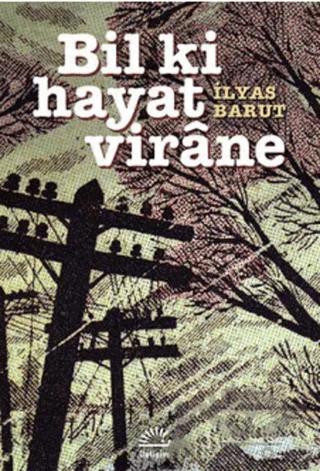 Bil Ki Hayat Virane