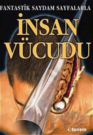 İnsan Vücudu