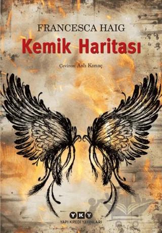 Kemik Haritası