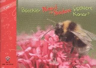 Böcekler Nasıl ve Neden Çiçeklere Konar?