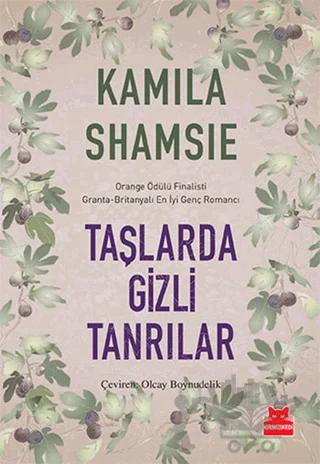 Taşlarda Gizli Tanrılar