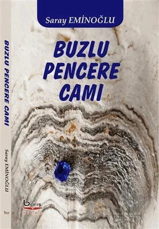 Buzlu Pencere Camı