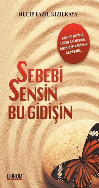 Sebebi Sensin Bu Gidişin