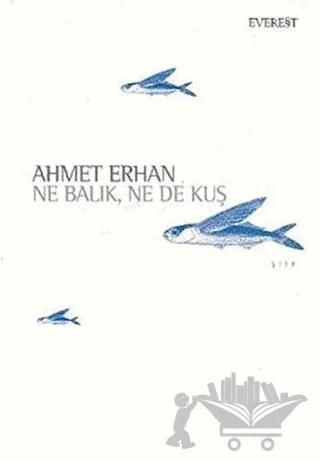 Ne Balık Ne De Kuş