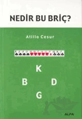 Nedir Bu Briç?