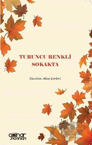 Turuncu Renkli Sokakta