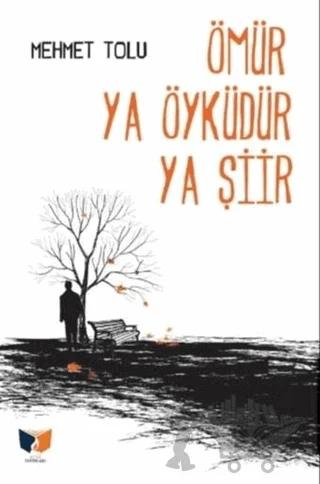 Ömür Ya Öyküdür Ya Şiir