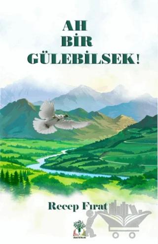 Ah Bir Gülebilsek
