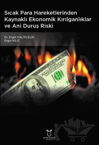 Sıcak Para Hareketlerinden Kaynaklı Ekonomik Kırılganlıklar ve Ani Duruş Riski