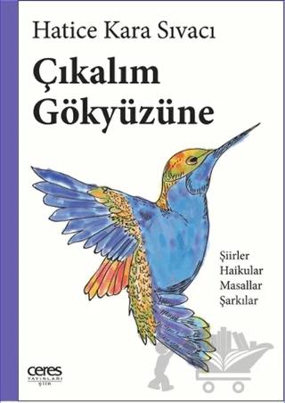 Çıkalım Gökyüzüne