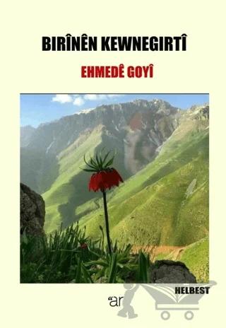 Bırinen Kewnegırti