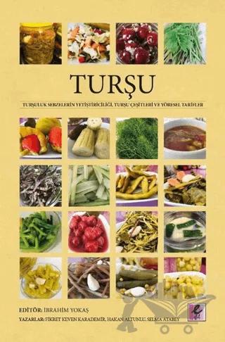 Turşu