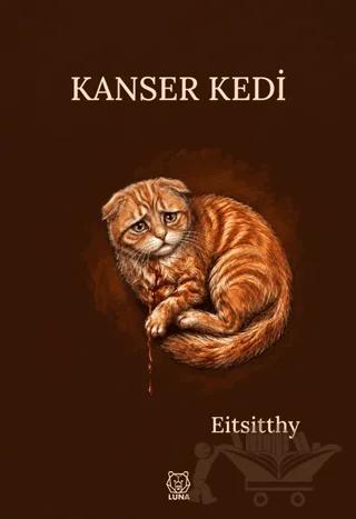 Kanser Kedi