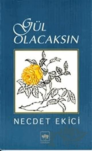 Gül Olacaksın