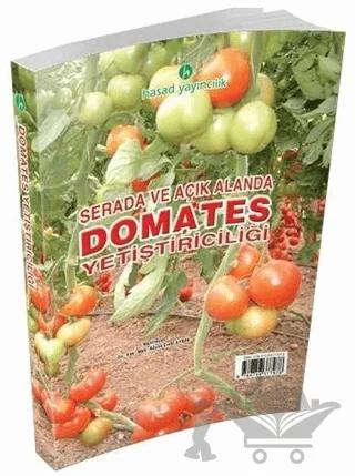 Serada ve Açık Alanda Domates Yetiştiriciliği