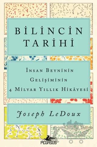 Bilincin Tarihi: İnsan Beyninin Gelişiminin 4 Milyar Yıllık Hikayesi