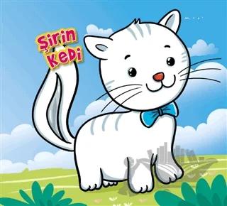 Şirin Kedi