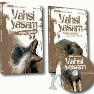 Vahşi Yaşam-Yüzgeç Ayaklılar