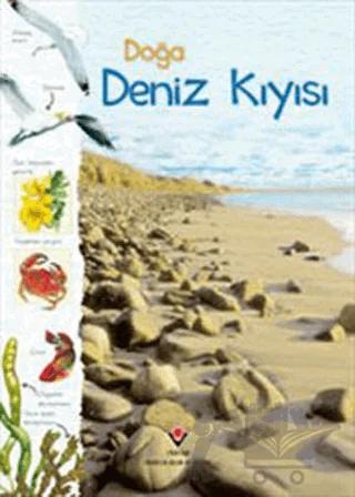 Doğa: Deniz Kıyısı