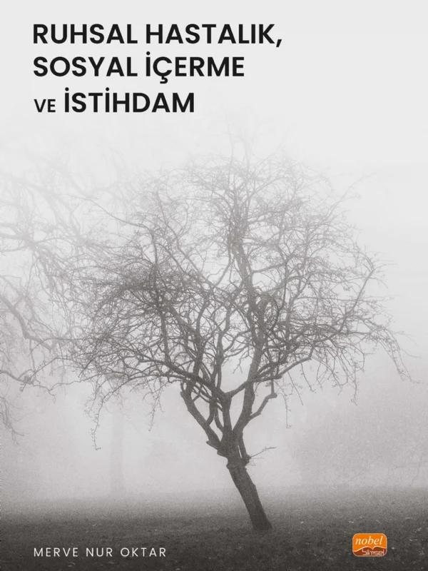 Ruhsal Hastalık, Sosyal İçerme ve İstihdam