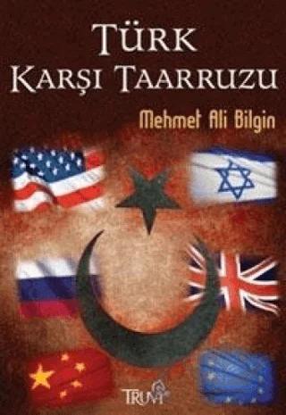 Türk Karşı Taarruzu