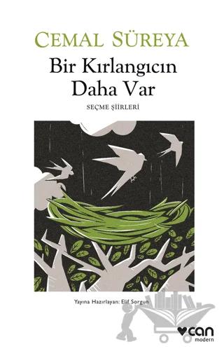 Bir Kırlangıcın Daha Var