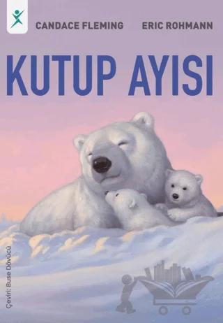 Kutup Ayısı