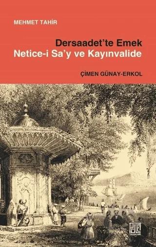 Dersaadet’te Emek Netice-i Sa’y ve Kayınvalide
