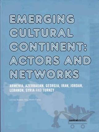 Emerging Cultural Continent: Actors and Networks