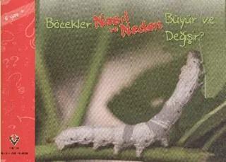 Böcekler Nasıl ve Neden Büyür ve Değişir?