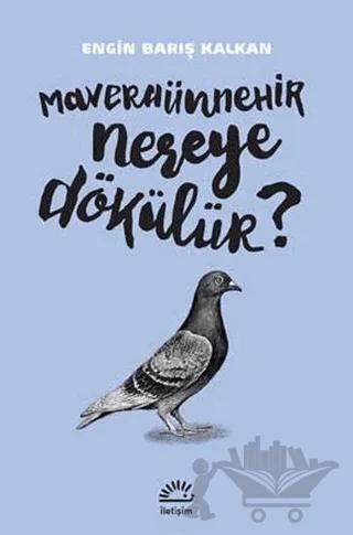 Maveraünnehir Nereye Dökülür?