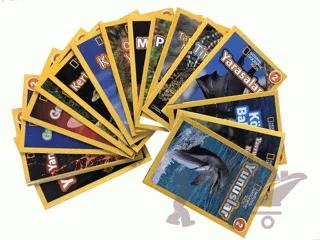 National Geographic Kids-Okuma Serisi Seviye 2 Seti-17 Kitap Takım