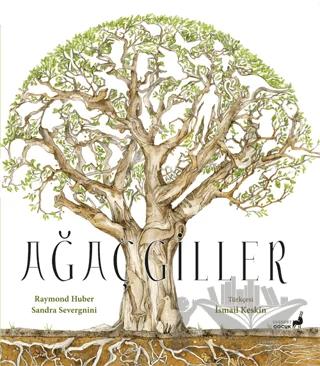 Ağaçgiller