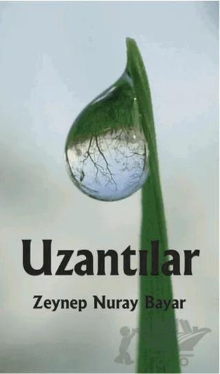 Uzantılar