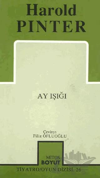 Ay Işığı