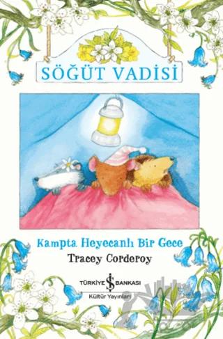 Kampta Heyecanlı Bir Gece - Söğüt Vadisi