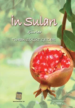 İn Suları