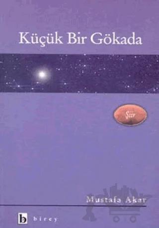 Küçük Bir Gökada