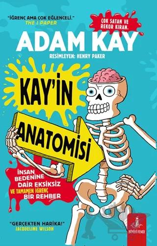 Kay’in Anatomisi
